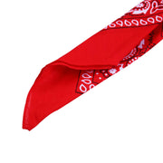 Bandana Key Chain-streetwear-techwear